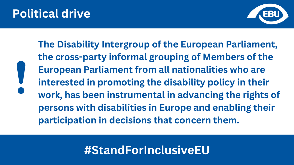 Here the first of our series of 16 key issues around and beyond the European elections 2024, about the European Parliament’s Disability Intergroup.