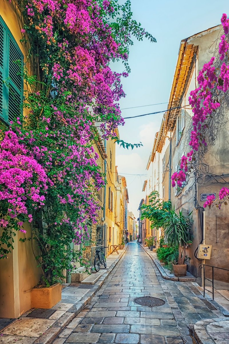 Dreaming of a glamorous getaway? 

Look no further than Saint-Tropez! 

Explore charming streets, museums, and water sports in clear Mediterranean waters. Experience luxury and charm! 🌴🛥️🥂

📸 : Stockbym
📍St Tropez 

 #ExploreFrance 🌴🛥️🥂