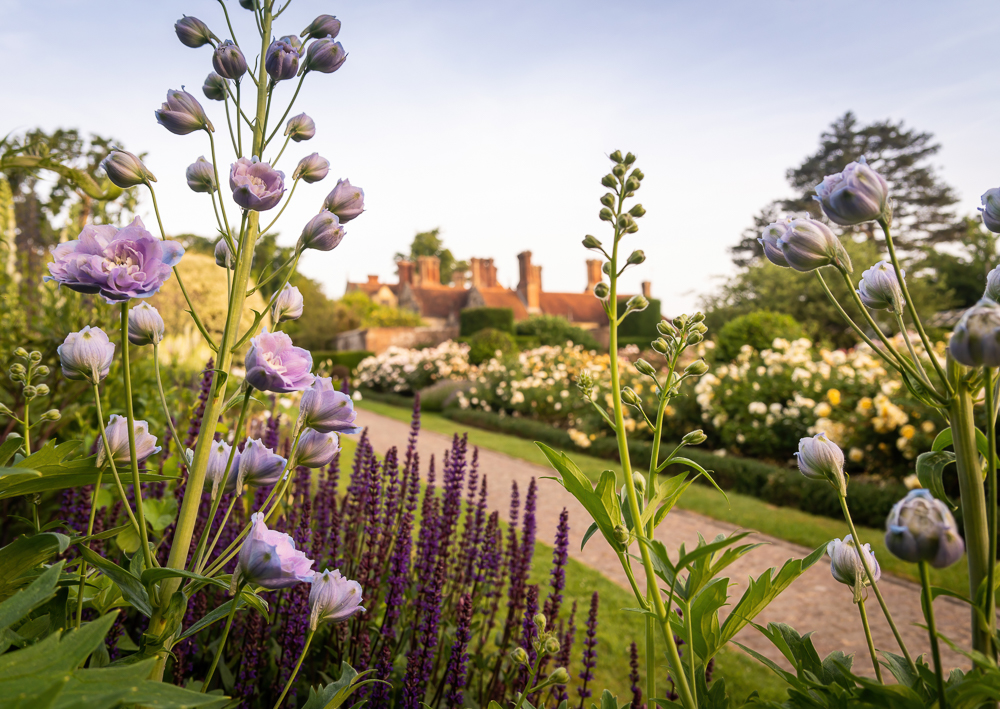 Join us tomorrow, 14th May, for our @NGSOpenGardens open day! Borde Hill was one of the first to join the scheme and we're proud to continue the tradition. Soak in the beauty and tranquillity of the Garden whilst contributing to this wonderful cause. @SussexNGS #NGSOpenDay