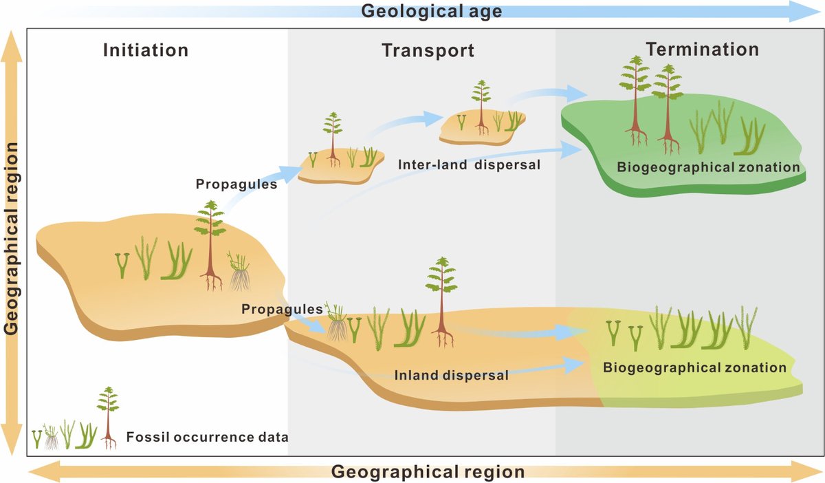 Plant dispersal in the Devonian world onlinelibrary.wiley.com/doi/10.1111/pa… @wileyearthspace