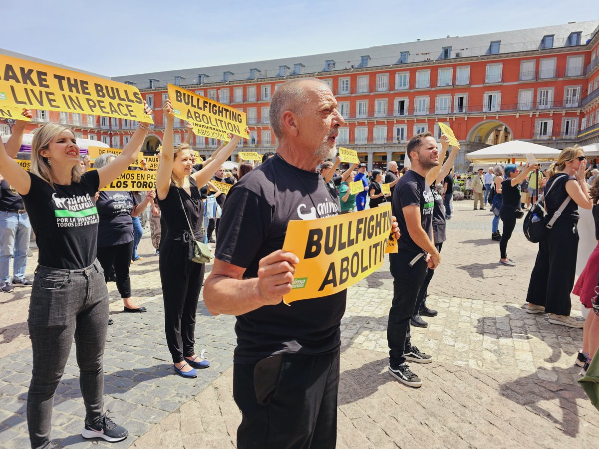 AnimaNaturalis's tweet image. 🇪🇸✊️ Ayer, activistas de @AnimaNaturalis y @CAS_Int, realizamos una acción de protesta en la Plaza Mayor de Madrid exigiendo unas fiestas de #SanIsidro sin crueldad 🐃🩸

💚 Muchas gracias a todas las personas que se sumaron a la protesta para alzar la voz contra esta barbarie.