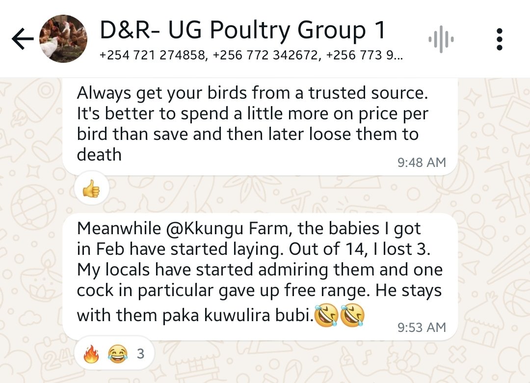 Customer Feedback keeps us going, working with one farmer at a time to build the potential of #LocalChicken

Come work with us to start your poultry journey

#Agribusiness