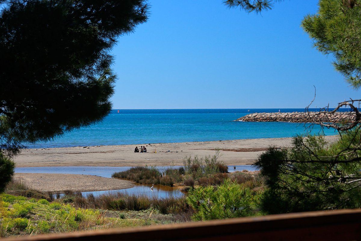 Bon dia i bona setmana des de les #TerresDeMestral 😍

Foto: @lopezmonne 
#OutdoorPark de #mar i #muntanya 💙😍💚
#panoràmiques imponents
#CostaDaurada
#TerresDeLEbre
#natura
#família
#sensacions
#esport
#snorkel
#nàutica
#vela
#windsurf
#senderisme
#btt
#DelEbrealaMediterrània