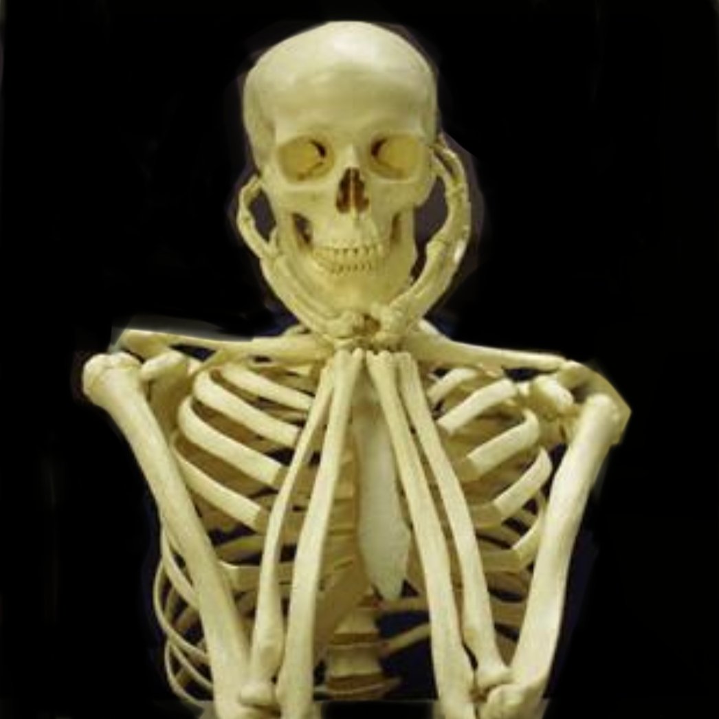 @twtrrr Dear Anthony,
Still waiting for you to fix the dole. I need to put some skin on these bones.
Yours, Seriously Unemployed
#RaiseTheRate #AnthonyAlbanesePM