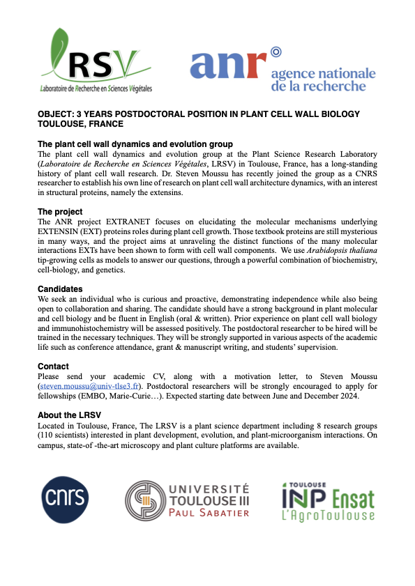 I am looking for a postdoctoral researcher to work with me @LRSV_Toulouse on plant cell walls - focus on extensins proteins. Join us in ☀️ Toulouse!