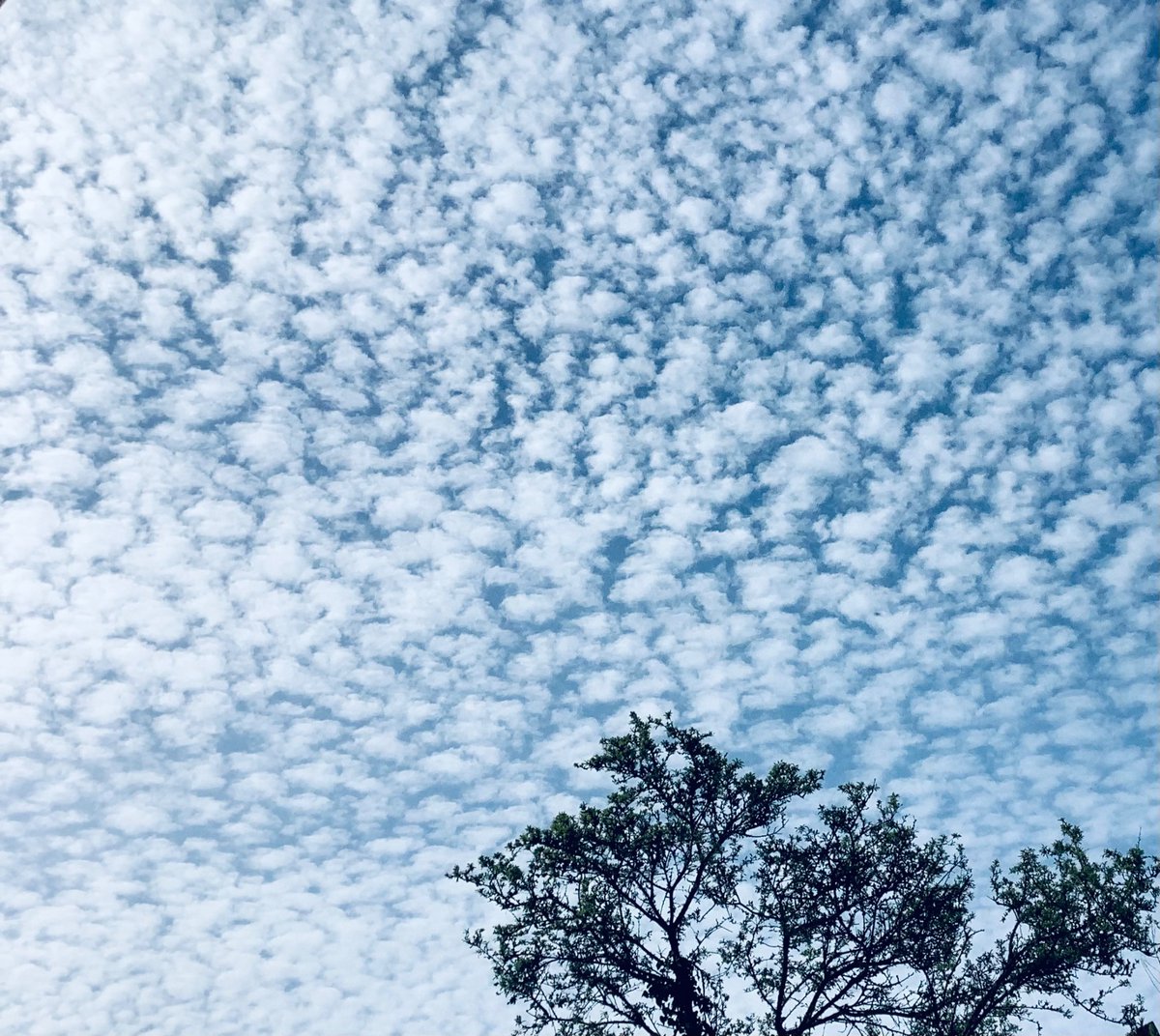 Mackerel sky a few days ago