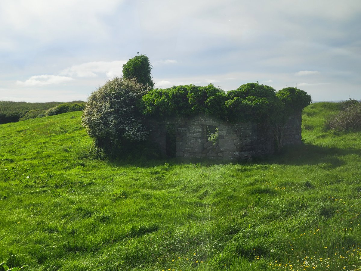 We had a fabulous day in County Clare yesterday. Luckily, the rain held off long enough to see the cliffs!