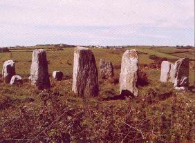Stone circle at Bohonagh, county Cork (image by Dept of Arts, Culture and the Gaeltacht).