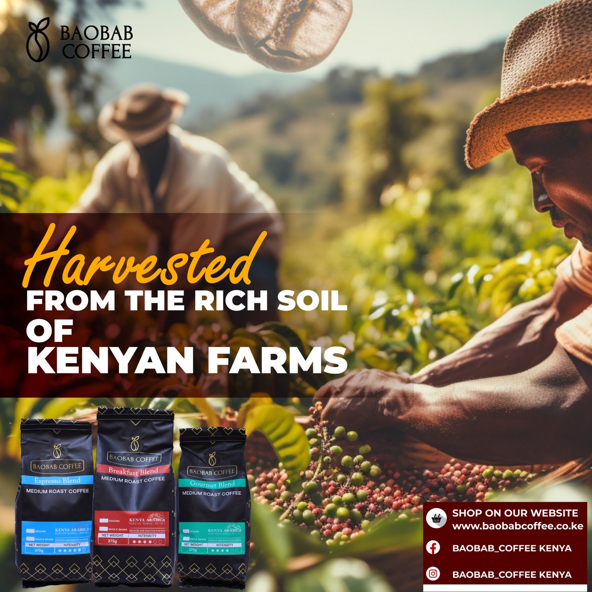From the lush Kenyan highlands to your cup, experience the freshness and flavor of our exquisite coffee! ☕🌿Order now and experience the best coffee
#BaobabCoffee #AuthenticFlavors #coffee #coffeetime #coffeelover #coffeeshop #coffeeaddict #coffeelovers #coffeegram #coffeebreak