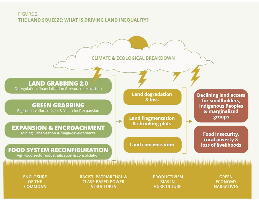 This is probably the best explanation you will find on inequality and access to land. By <a href="/IPESfood/">IPES-Food</a> 
ipes-food.org/report/land-sq…

Food insecurity is not solved through higher productivities, but by ensuring equal access to land.