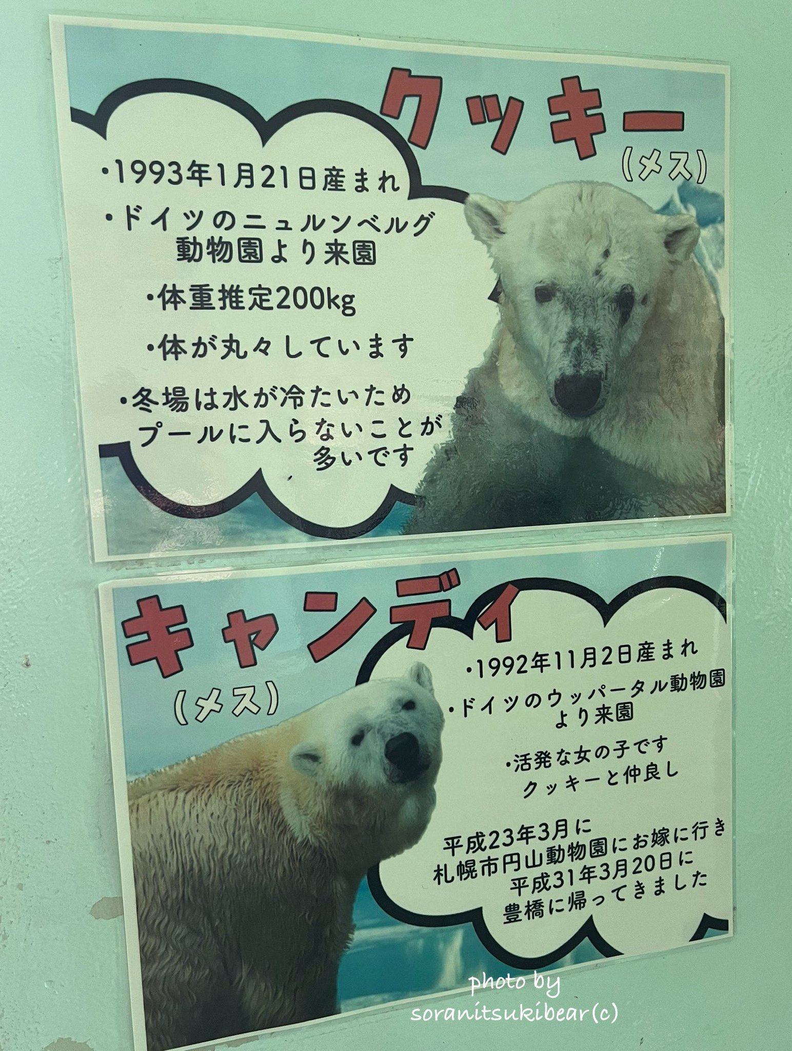 KANDYTOWN ポスター 11月2日リリース