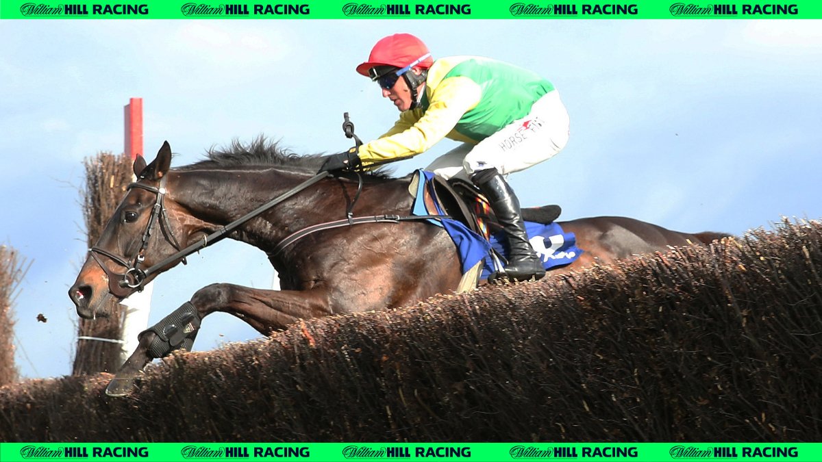 #OnThisDay 14 years ago, Sizing John was born. ⭕️ 21 starts 🥇 9 wins 📈 Peak OR 170 🏆 Cheltenham Gold Cup 🏆 Punchestown Gold Cup @kateharro1989 | @Jessica_Racing