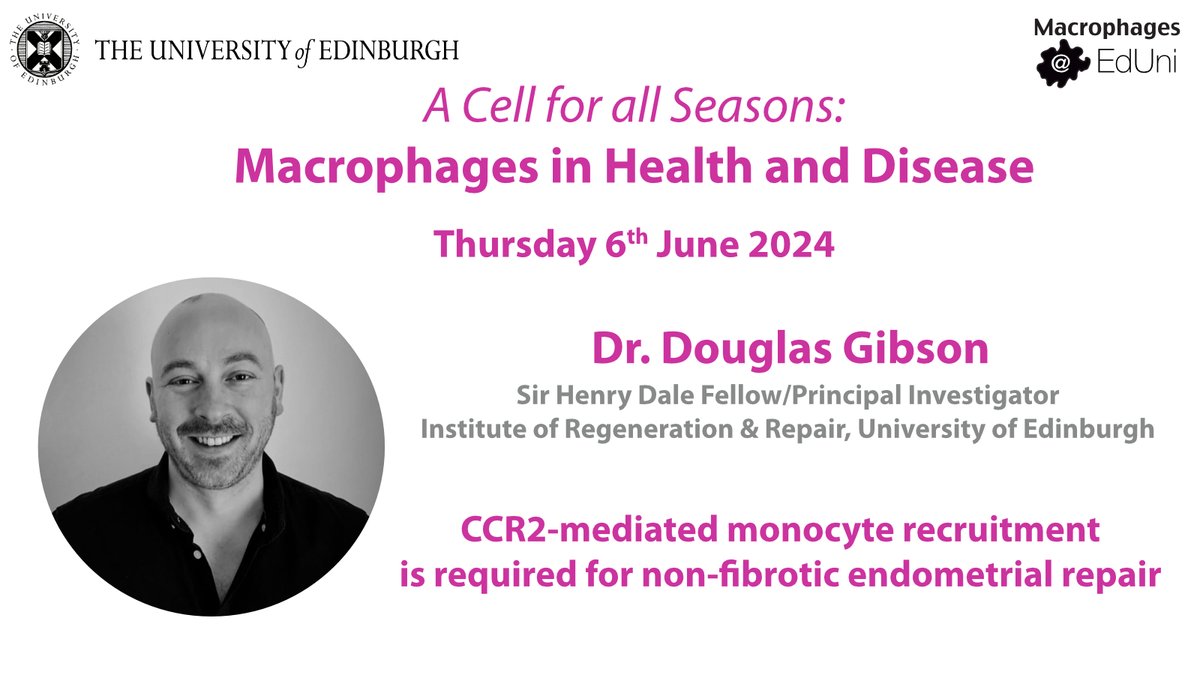 Final speaker profile for @MacEdiUni symposium is @douglasagibson, a @wellcometrust Sir Henry Dale Fellow at @EdinUni_IRR. He will discuss the heterogeneity and role(s) of #monocytes and #macrophages in scarless endometrial repair. Only a week or so to register - do it today!!