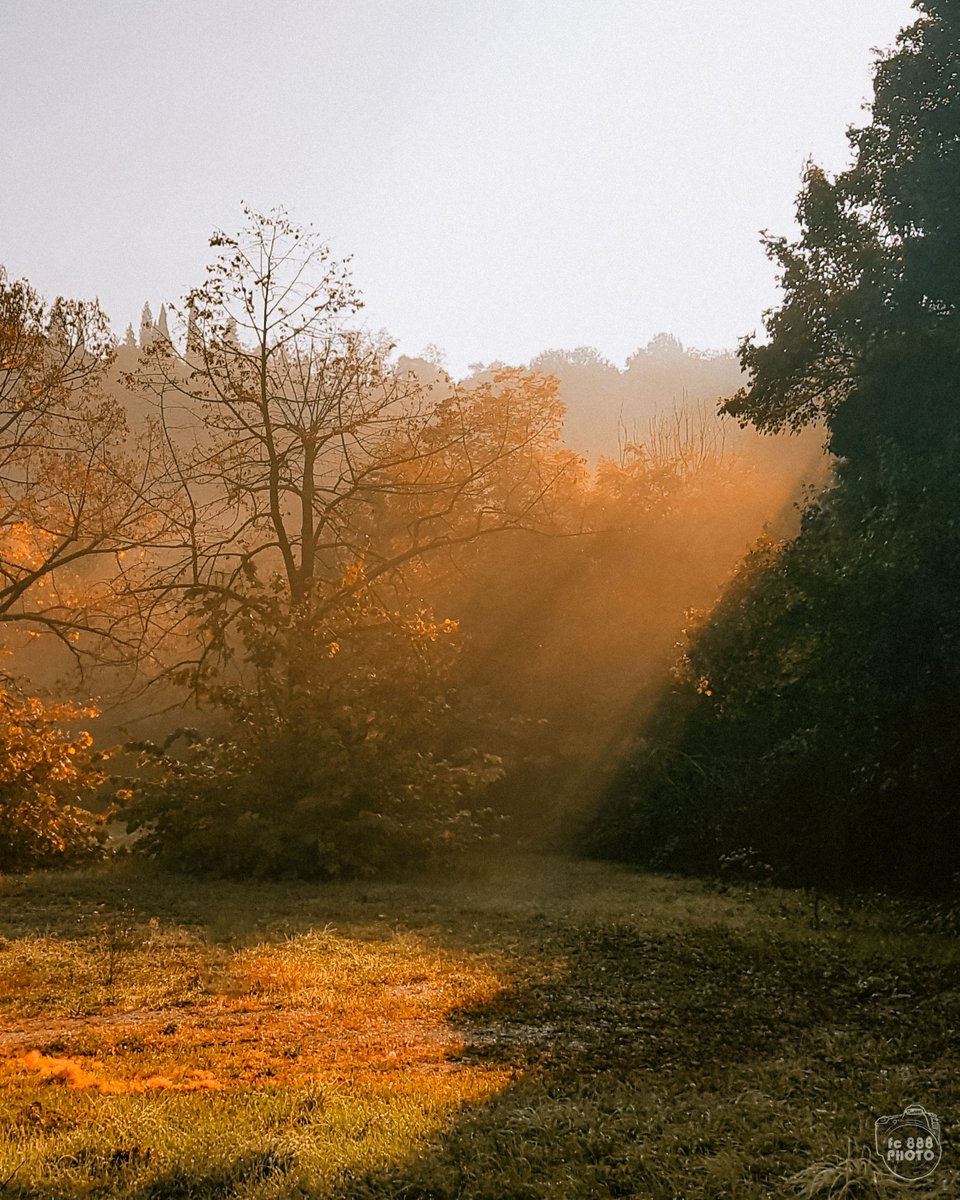 Chi vede tutti i giorni il sole dice con sufficienza: “Cosa saranno mai quei quattro raggi”! Ma io per un giallo illuminello sopra un muro avrei dato allora qualunque cosa al mondo (Vladimir Majakovskij) #ColliEuganei #sunrays #silence #psFujiFilmP #CEP4_IndianSummer3 📸fc