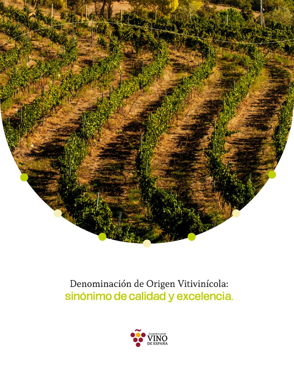 Para que un #vino alcance la #Denominación de Origen Protegida, el proceso elaboración del vino debe ser certificado por una autoridad reguladora que garantice todos los requisitos establecidos por normativa.🍷​👍

Por lo tanto, #DOP es sinónimo de excelencia.

#VinodeEspaña