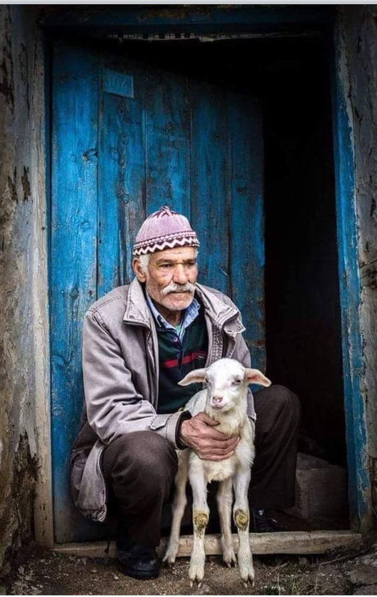 Bir sor bakalım Güzel günler gelse bile Yaşayacak hevesimiz Kalmış mı? Haftanız huzurlu keseniz bereketli olsun DOSTLAR 🙋