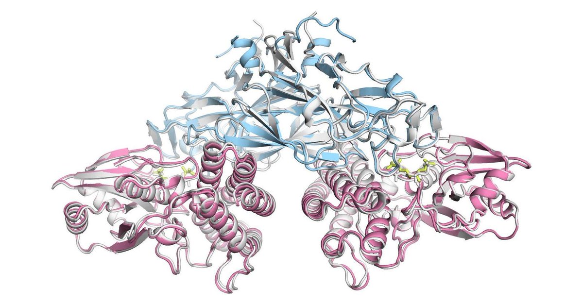 InnovationRx: Deepmind Unveils Its New Protein-Folding AI Model AlphaFold 3 trib.al/gHT3ufu