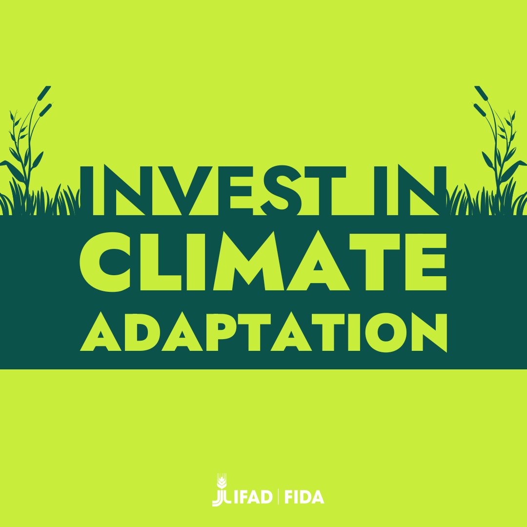 We must wake up to the fact that the window to adapt is fast closing.

There can’t be #ClimateAction without #ClimateAdaptation!