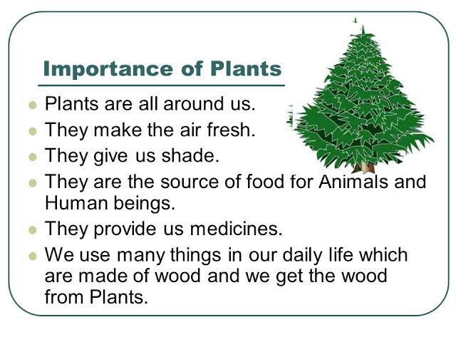 Our life and the plan of the planet depends on plants. Let's stop destruction of plants species with heavy and uncontrolled use of chemicals #PlantHealthDay Plants are life – we depend on them for 80 percent of the food we eat and 98 percent of the oxygen we breathe #PlantHealth