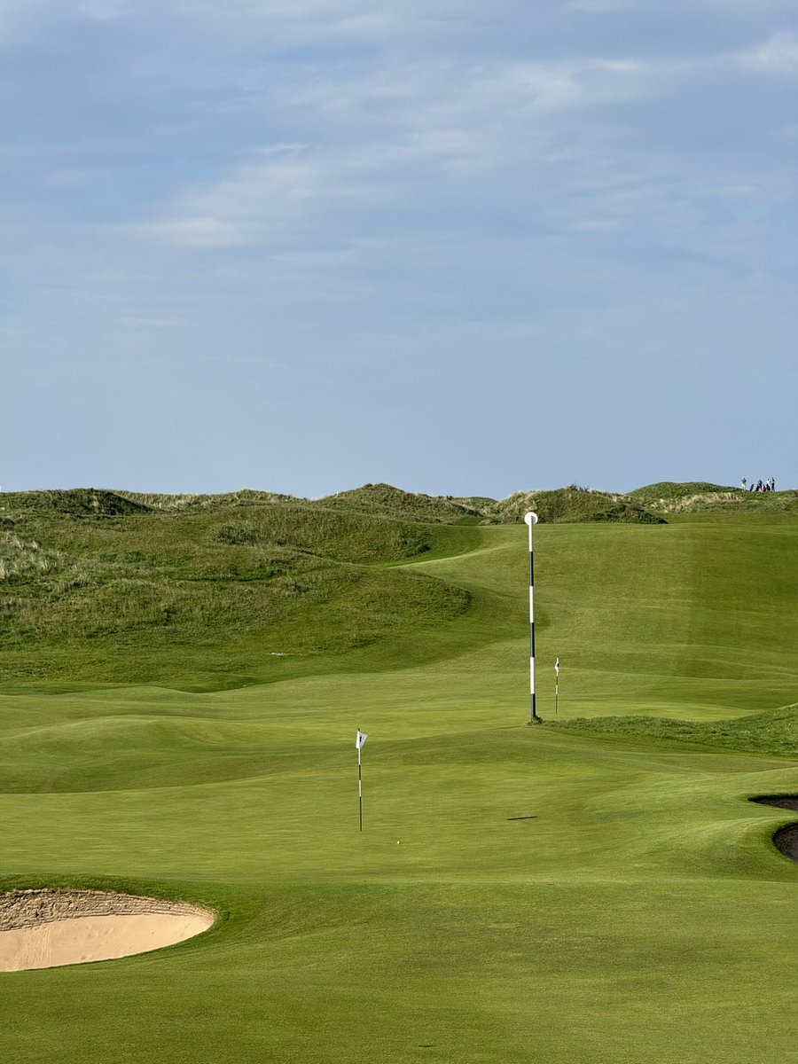 Andrew McKibbin tweet media