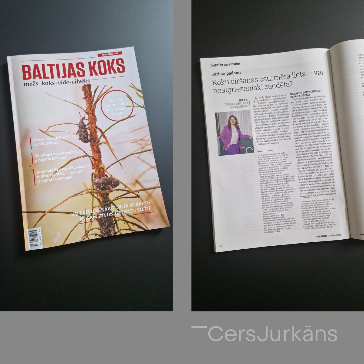 cers_jurkans's tweet image. Aprīļa sākumā Satversmes tiesa pasludināja nozīmīgu spriedumu vides tiesību jomā. Kā spriedums koku ciršanas caurmēra lietā ietekmēs mežu īpašniekus un kokrūpniecības nozari, žurnāla Baltijas Koks maija numurā skaidro @cers_jurkans juriste @IngaBit.  
➡️cersjurkans.lv/storage/2024/0…
