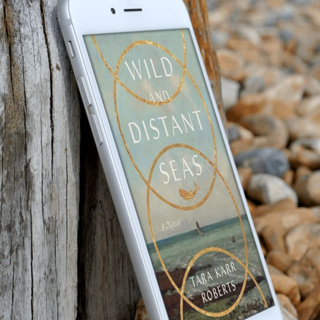 ❀༻ Book Of The Day! ༺❀ •´¸.•*´¨)✯ ¸.•*¨) ✮ ( ¸.•´✶ Wild and Distant Seas By Tara Karr Roberts *´¨✫) maryanneyarde.blogspot.com/2024/05/a-gorg… #HistoricalFiction #BooksWorthReading #mustread @TaraBethIdaho