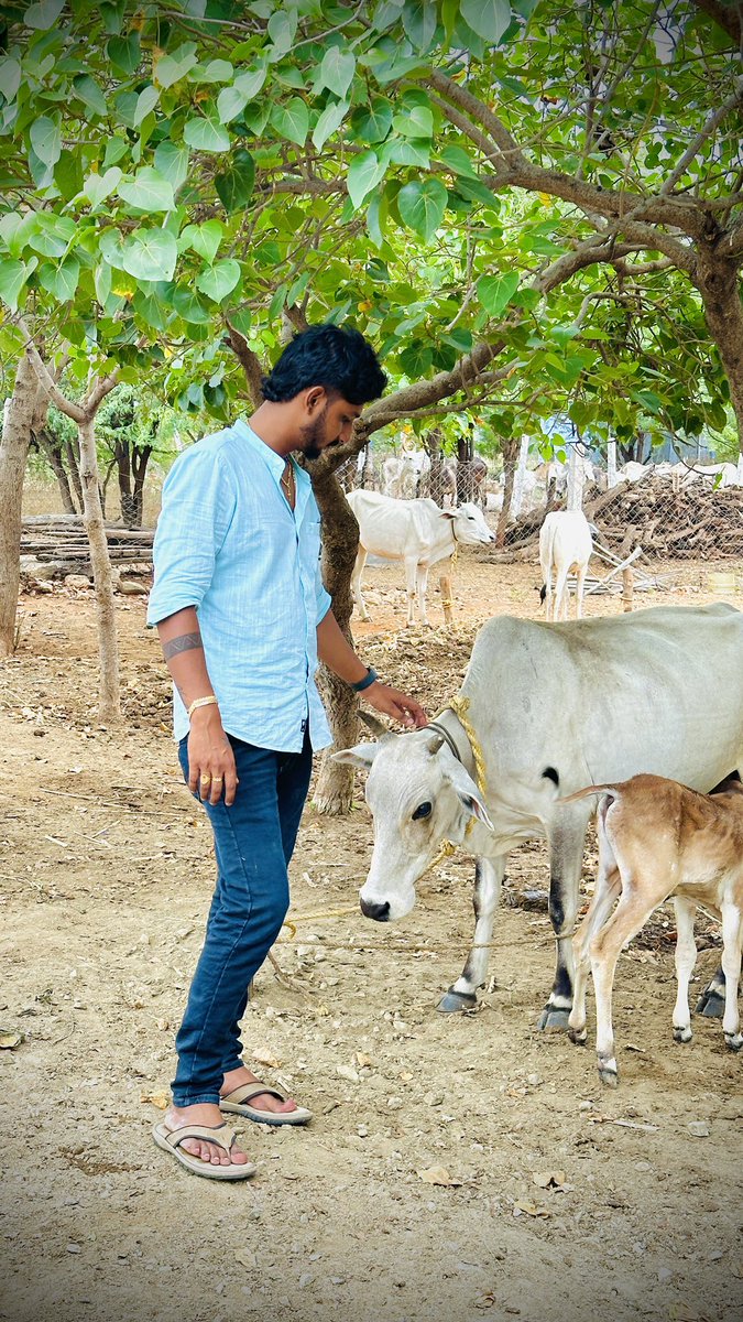 jilla_sam's tweet photo. https://t.co/OkqyvHh7Js