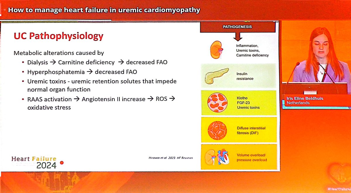 Uraemic / Renal Cardiomyopathy in a nutshell ! By @iebeldhuis #HeartFailure2024 1/n