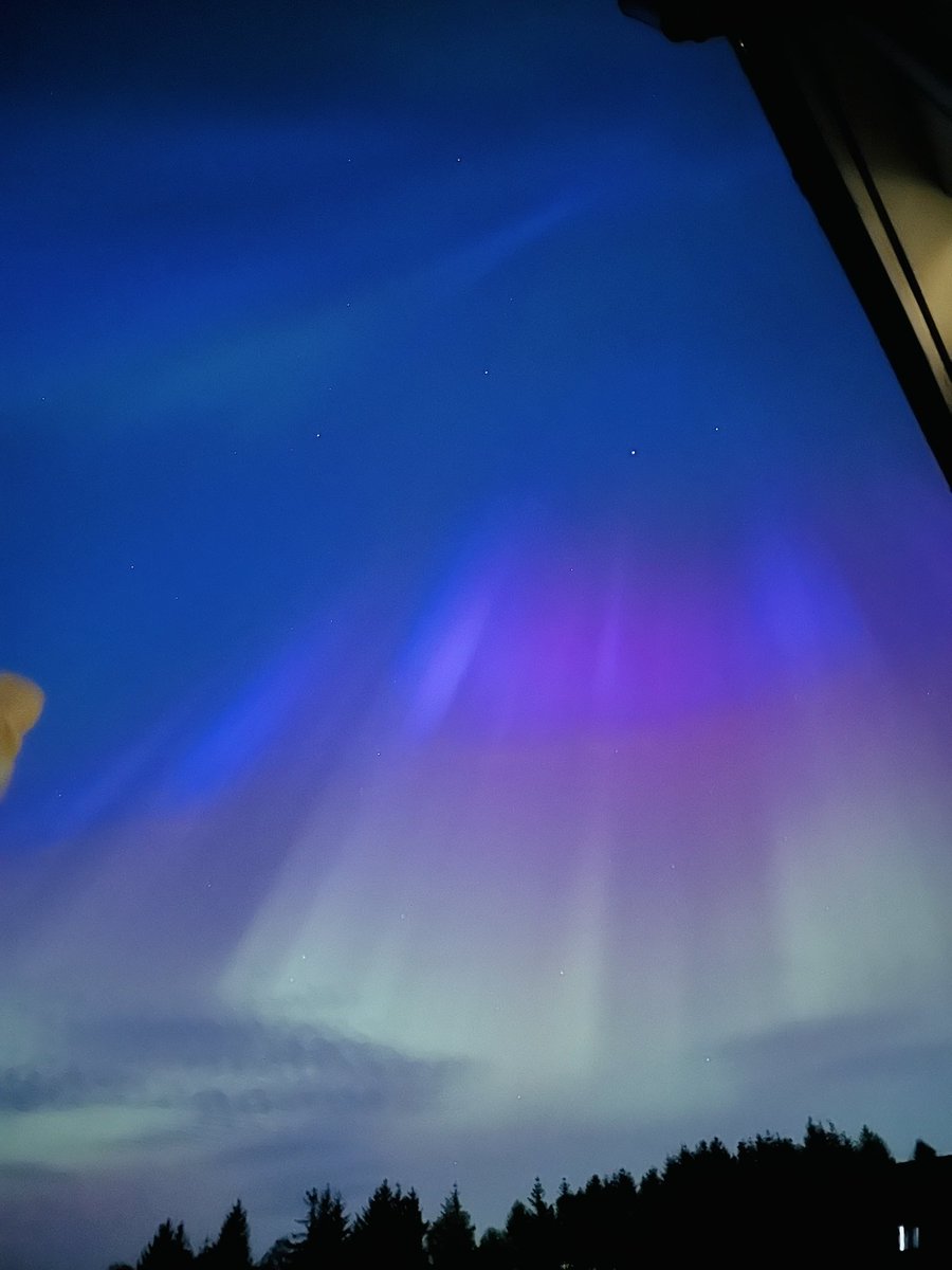 jo_gadget's tweet photo. Fab #Auroa pictures from back garden on Friday night! 💫⭐️🌟✨ https://t.co/rQBJ5up6NQ