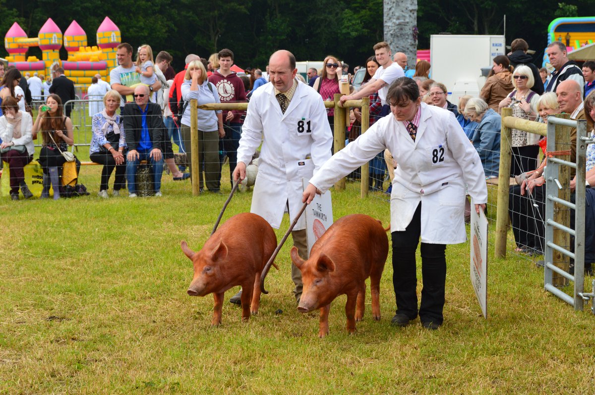 🚜 NEW BLOG: HONLEY SHOW 2024 🐄 Learn more this prestigious agricultural show, from how to compete, to having your own stall. Find out more at the link below... honley.info/honley-show/ #Honley #KeepItLocal #Blog