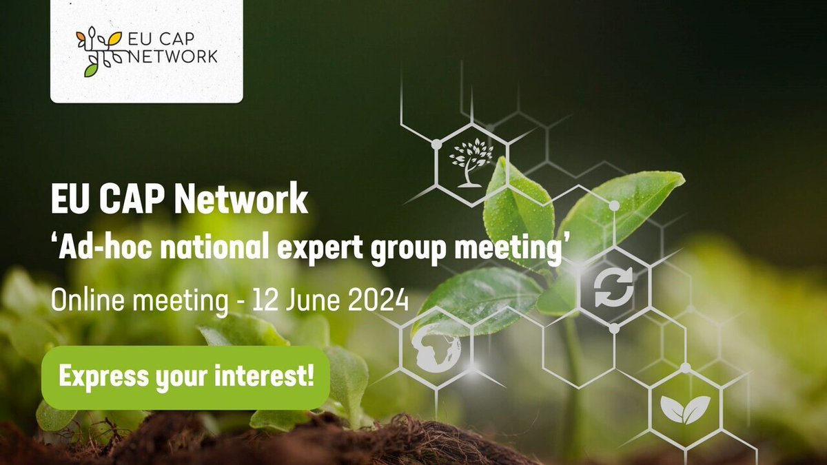 eucapnetwork's tweet photo. 📢 Final call! Last day to apply to the ad-hoc national experts group meeting

📧 Submit your CV by 14 May 2024 to adhocexpertsmeeting@eucapnetwork.eu

👉https://t.co/6ZZ9dIVE9o https://t.co/CqmSrJoPnG