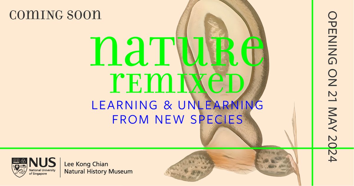 What does it mean to look at or listen to the natural world? Our new exhibition ‘Nature Remixed’ blurs the lines between human, nature and machine and immerses visitors in a multisensory experience like no other.

Opening on 21 May 2024
🔗: lkcnhm.nus.edu.sg/about-the-musu…