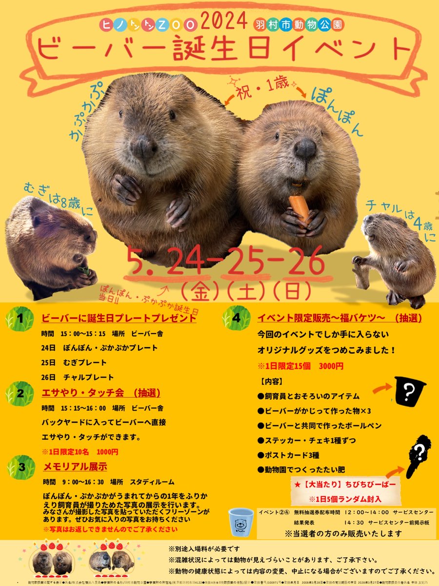 【イベント告知】
5/24(金)25(土)26(日)に
当園の #ビーバー 達の
誕生日をお祝いする
特別イベントを行います！
🎂🦫🦫🦫🦫🎂

詳しくはイベントポスターをごらんください。

hamurazoo.jp/news/detail.ht…

#羽村市動物公園
#ヒノトントンZOO
#ぽんぽん #ぷかぷか
#むぎ #チャル