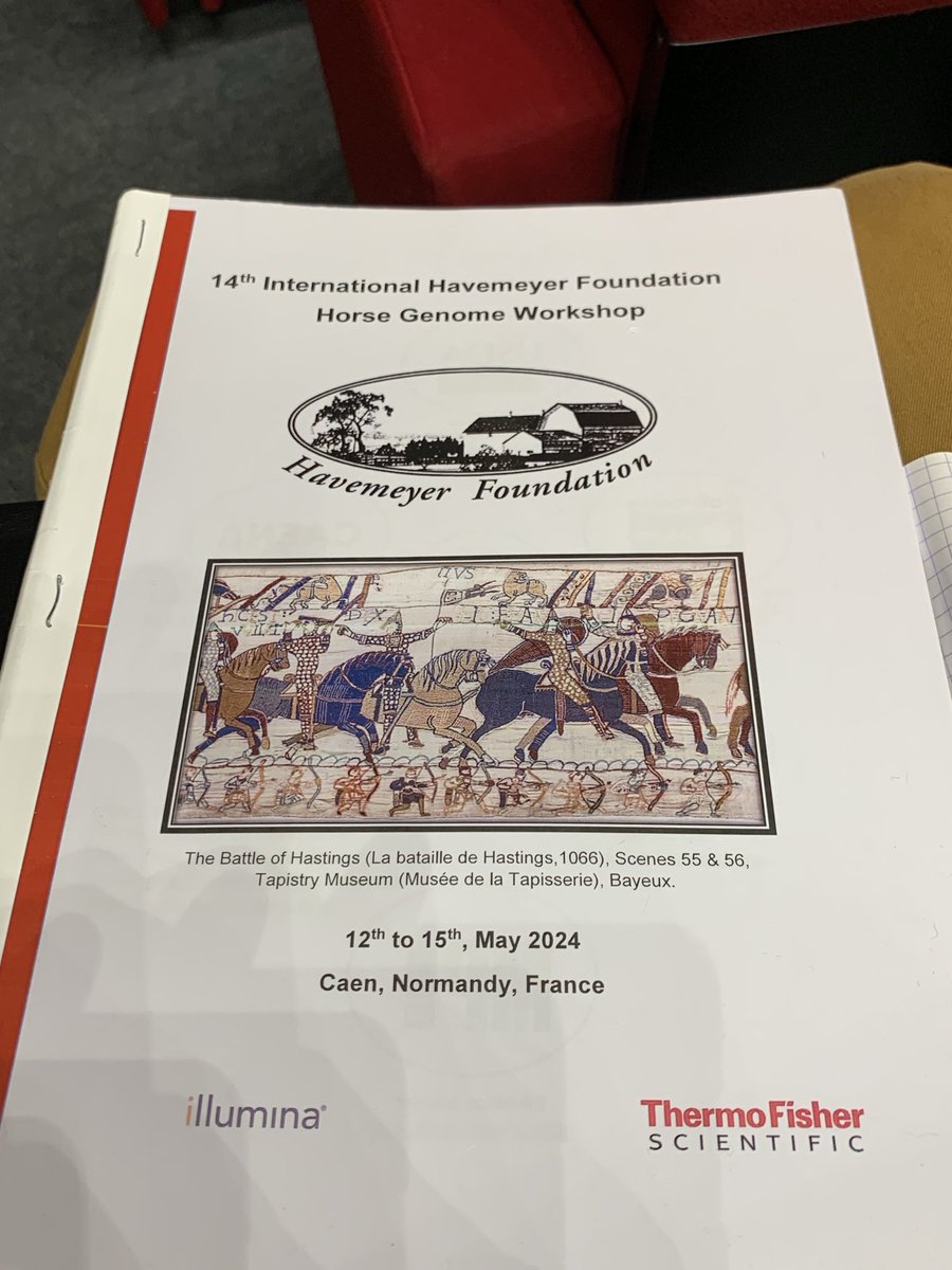 horsegenome24's tweet image. Day2: very interesting keynote conference of Ludovic Orlando about pre-domestic equids and horses after domestication 2300 years ago in the Don valley.