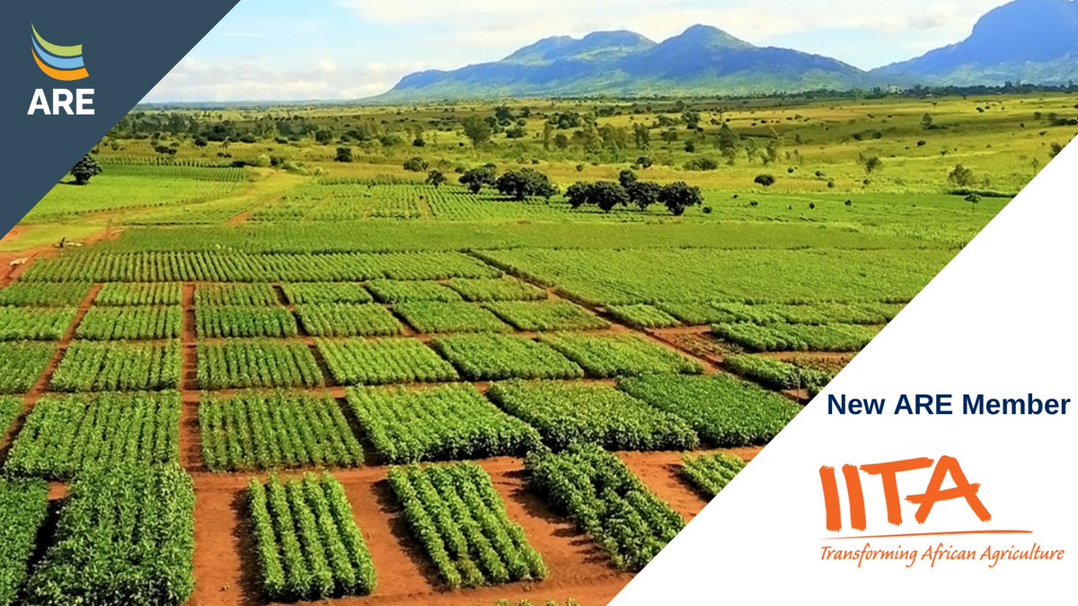 #MemberMonday🌞 

We are pleased to welcome @IITA_CGIAR  as the newest Member of the ARE Family.

They assure food security for poor communities and provide them with viable strategies that create real, long-term results for economic development 👉bit.ly/3wxWlTk