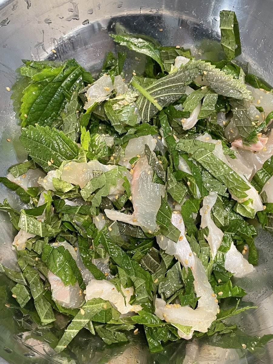 깻잎막회 해먹다… 들깨가루니 홍게간장이니 재료 아무것도 없어서, 광어회 + 깻잎 + 참기름 듬뿍 + 참깨 (칼등으로 ㅈㄴ으깸) + 소금 팟팟 친 후 쓰까서 양념장 찍어먹은게 끝. 별 들어간 거 없는데 맛있다… 양념장 레시피는 타래에 남길게요 🐡🌿