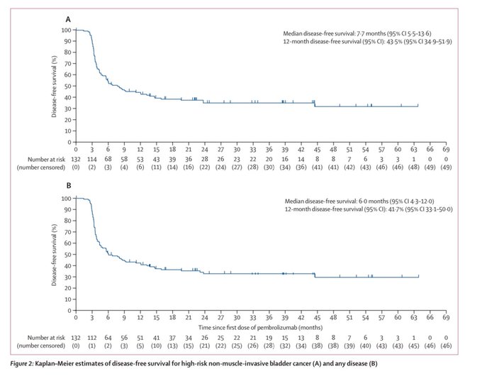🔘 Out on @TheLancetOncol Pembrolizumab monotherapy for high-risk non-muscle-invasive bladder cancer without carcinoma in situ and unresponsive to BCG (KEYNOTE-057): a single-arm, multicentre, phase 2 trial #BladderCancer #Immunotherapy @AndreaNecchi @UroDocAsh @PGrivasMDPhD…