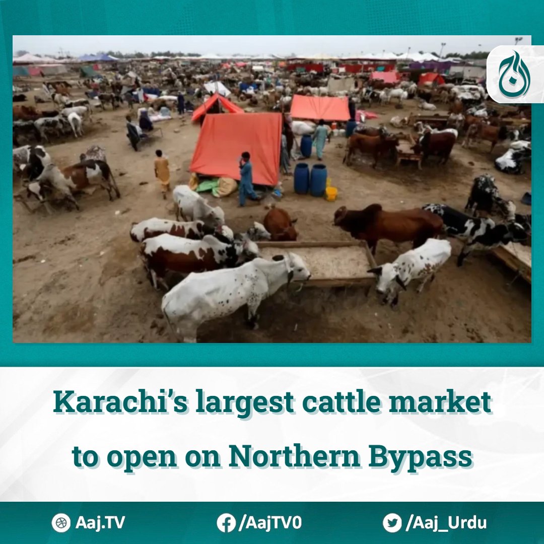 Karachi’s largest cattle market to open on Northern Bypass Read more: english.aaj.tv/news/330361519/ #EidulAzha #KarachiCattleMarket #NorthernBypass #SacrificialSeason #Contractors #Facilities #Preparations #Livestock #AnimalMarket