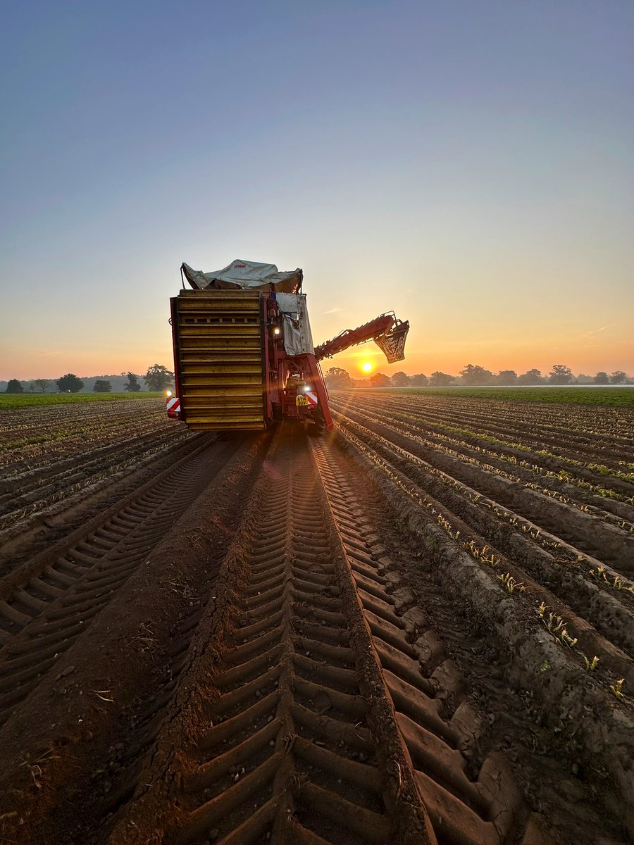 James Cunningham (@jcunningham94_) on Twitter photo Lovely sunrise to kick off the 2024 potato season, starting with lifting our early Maris Peer for <a href="/marksandspencer/">M&S</a> <a href="/Eastsufprod/">East Suffolk Produce</a> <a href="/HomeFarmNacton/">Home Farm (Nacton)</a> Lovely sunrise to kick off the 2024 potato season, starting with lifting our early Maris Peer for <a href="/marksandspencer/">M&S</a> <a href="/Eastsufprod/">East Suffolk Produce</a> <a href="/HomeFarmNacton/">Home Farm (Nacton)</a>
