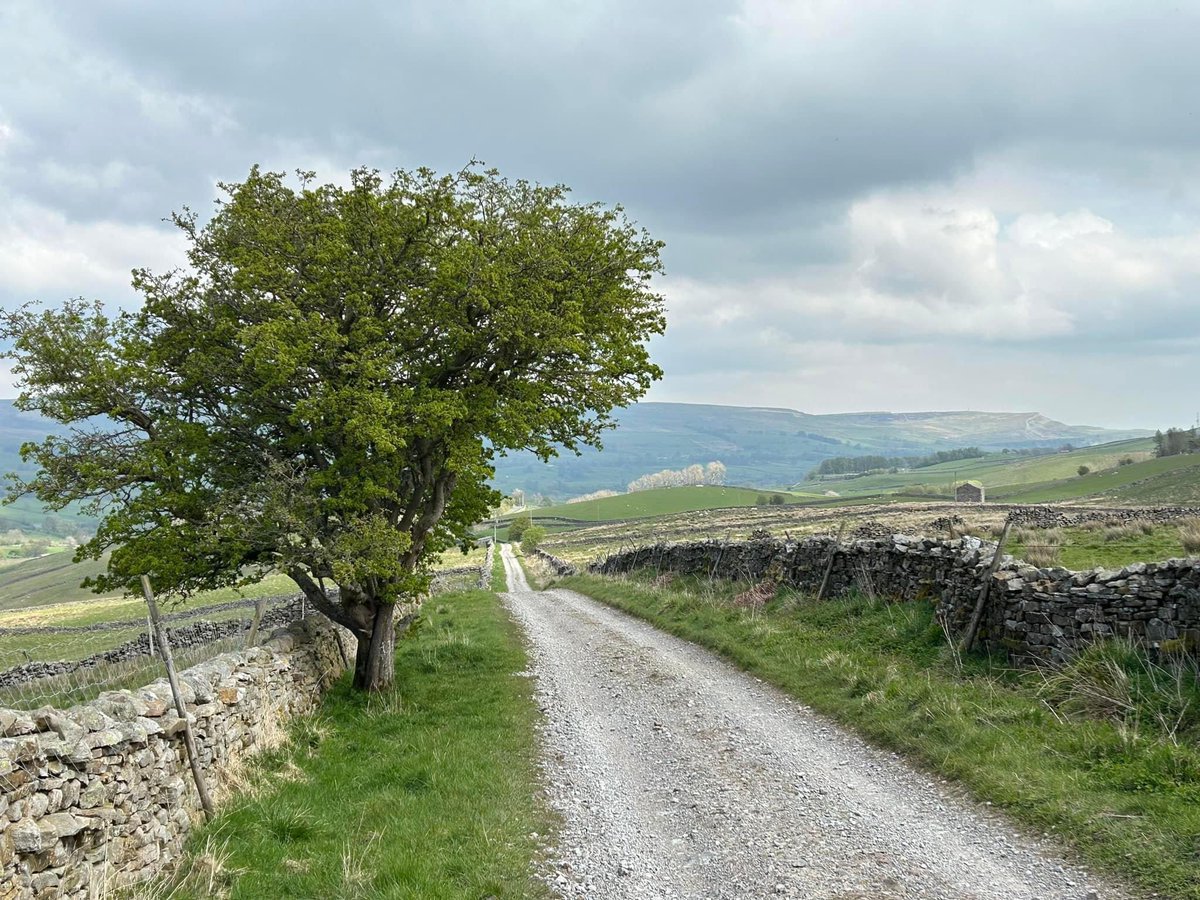 Richmond Way - Day 4. Virosidum an unlikely outpost of the Roman Empire now inhabited by sheep

Hawes - Roman Road to Bainbridge - Askrigg - Carperby

Nuthatch in Bainbridge, Wheatear, Meadow Pipits, Lapwing and Curlew.

#YORKSHIRE #yorkshiredales #wensleydale #RomanEmpire