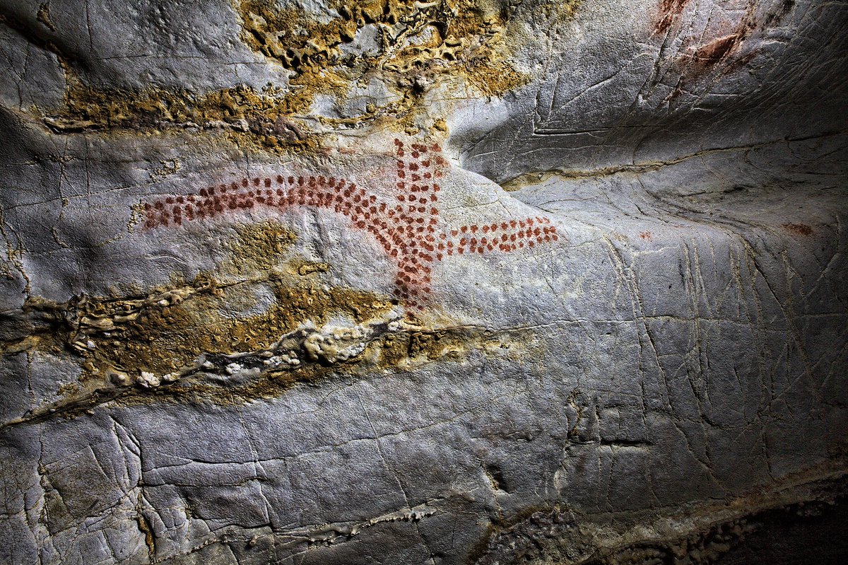 CuevasCant's tweet photo. 👉Nuevo régimen de visitas a #ElCastillo, #LasMonedas y #Covalanas
✍️Reducimos #visitas y visitantes al día en estas tres #cuevas por motivos de conservación 🧐
👀Mantenemos #reservas hechas antes del 10 de mayo
Más info 👉 https://t.co/Xt8NQaa3AM
En la web 👩💻
☎️ 942 59 84 25 https://t.co/bPza1gFthj