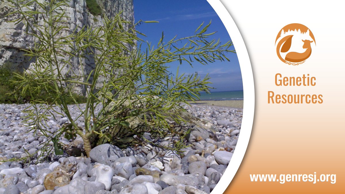 Genetic Resources journal tweet media