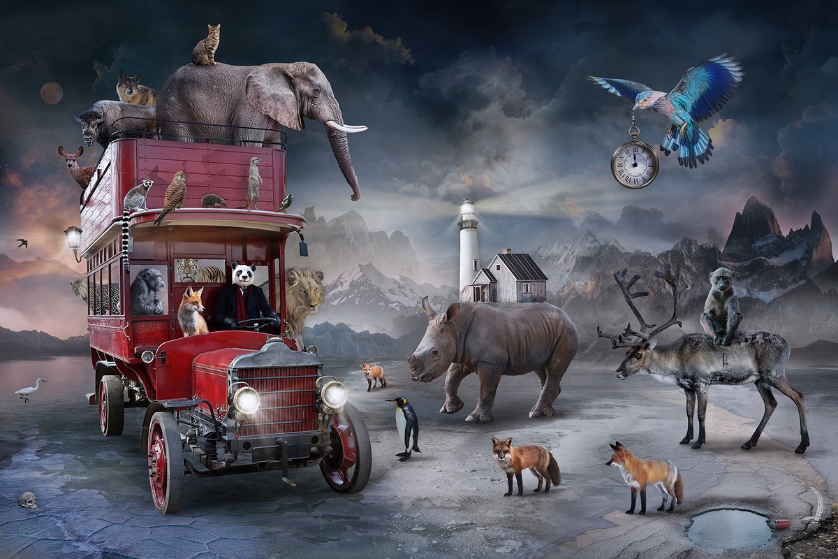 * THE LAST BUS TO PARADISE * Digital Collage.
Limited Edition: 10+2AP
Available in two sizes:
Size A: 26x39 inch | 66x100cm
Size B: 40x60 inch | 100x150cm

#contemporaryart #animalart #artfair #contemporary #fineart #photography #artgallery #artist #collageartist #wildlife