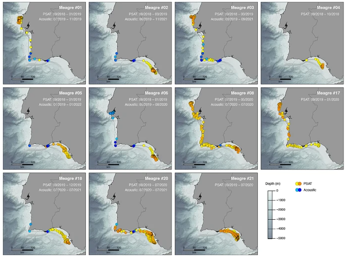 Miguel Clavero tweet media