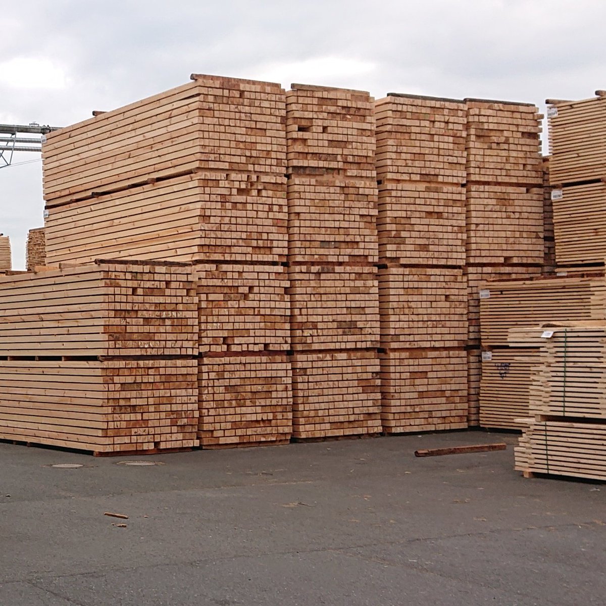 otto_direkt's tweet photo. Anhörung im Ausschuss #StadtWohn @AGH_Berlin zu nachwachsenden Baustoffen wie Holz, Stroh oder Hanf.
Mit Koalition für #Holzbau, @NOKERA_AG, Prof. #Roswag-Klinge @TUBerlin und Architekt @SCHNNGH https://t.co/eqa8wBtCG6