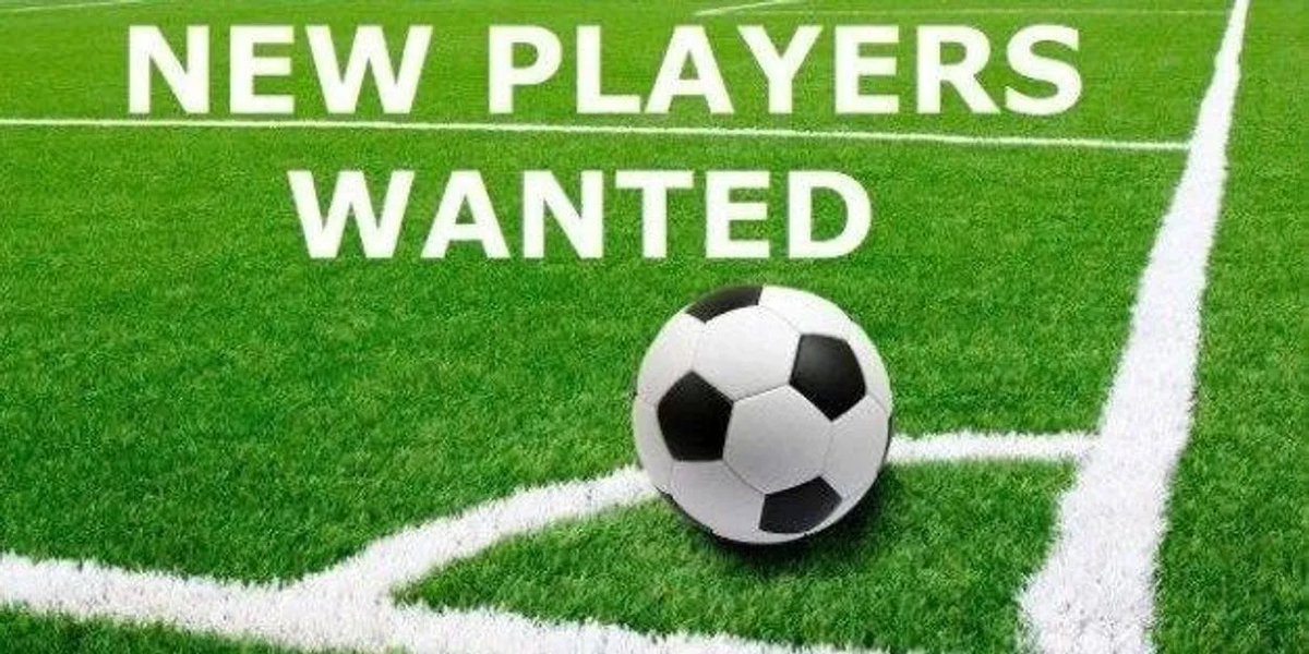 TJClayton87's tweet image. We are looking for new players in all positions for 2024/25 season for our 1st and reserve sides.If this something you would be interested in please contact myself @jackpearman or @LeighTownFC_ directly. UTT ⚪️⚫️