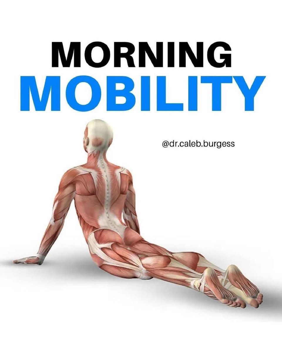 Morning Mobility Exercises.