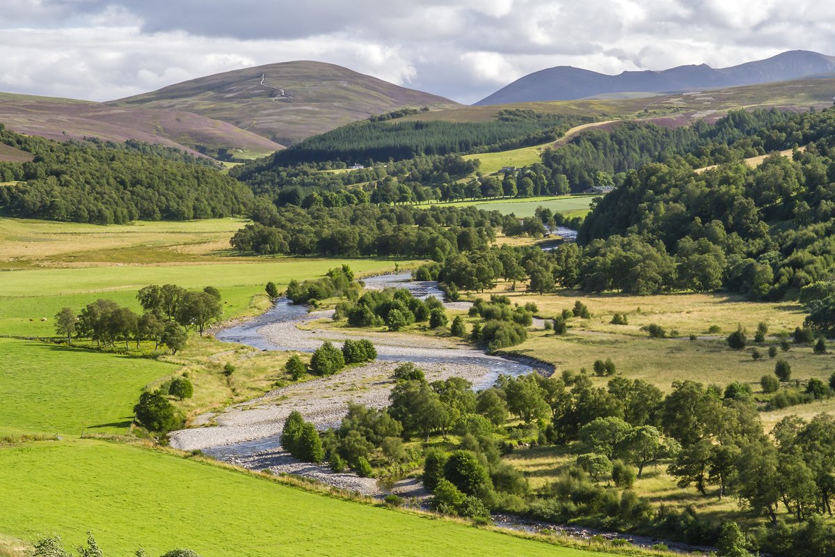 We’re excited to announce a £370,000 fund to support climate adaptation in the National Park 🌱 Open to businesses, land managers, farmers, community bodies and more - we’re interested in projects that take positive action in addressing climate change ➡️ cairngorms.co.uk/park-authority…