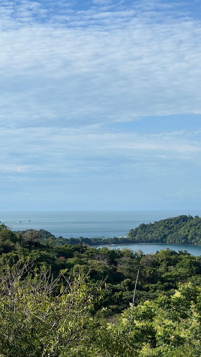 It's a beautiful day 🌞