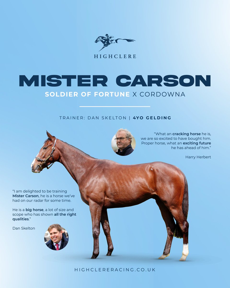 We are delighted to offer shares in MISTER CARSON, a 4-year-old gelding trained by Dan Skelton 🏇 He is already a point-to-point winner, where he impressively pulled clear of his rivals. 📧 For additional information, contact enquiries@highclere.co.uk #HighclereRacing